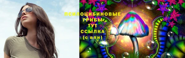 mdpv Магадан