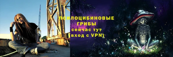 прущий лед Магас